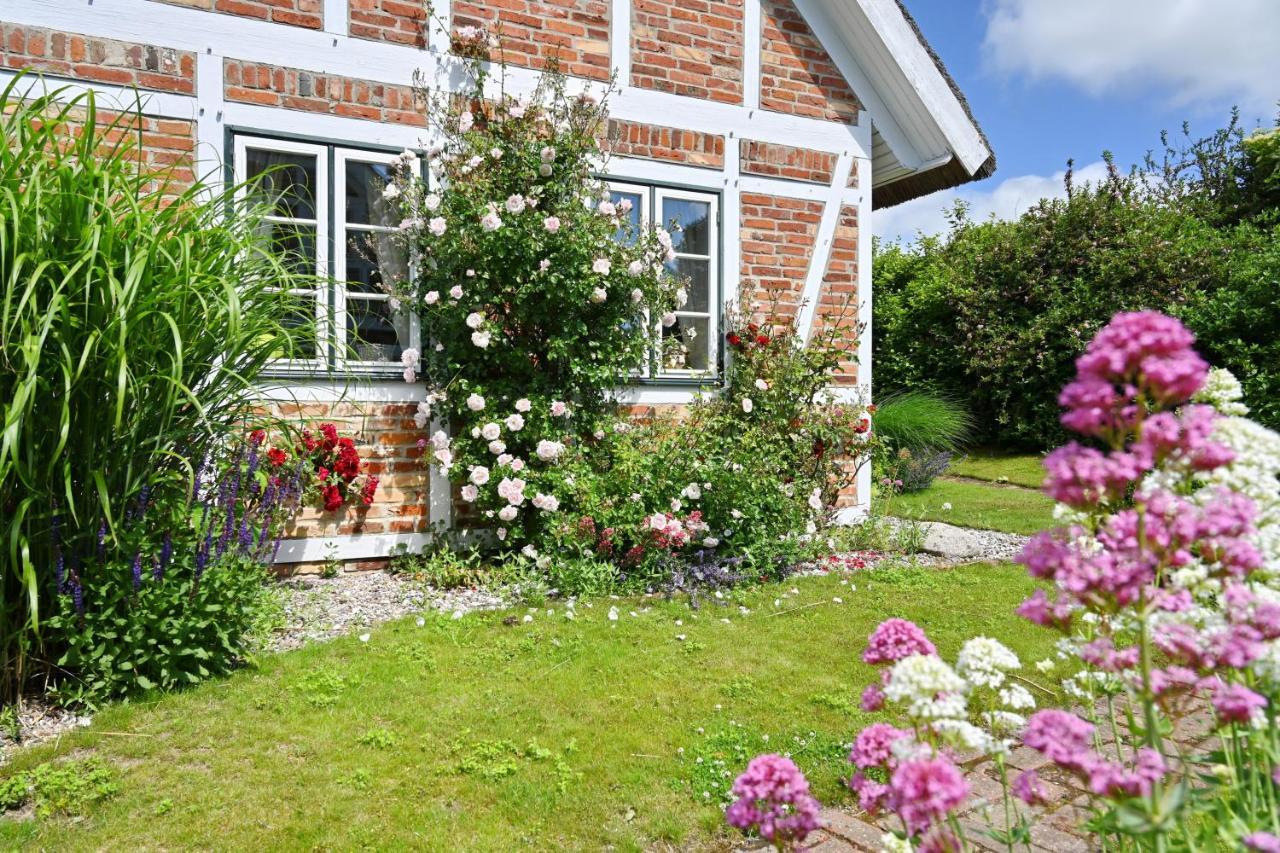 Landhaus Vilmnitz - Wohnung 7 Exterior foto