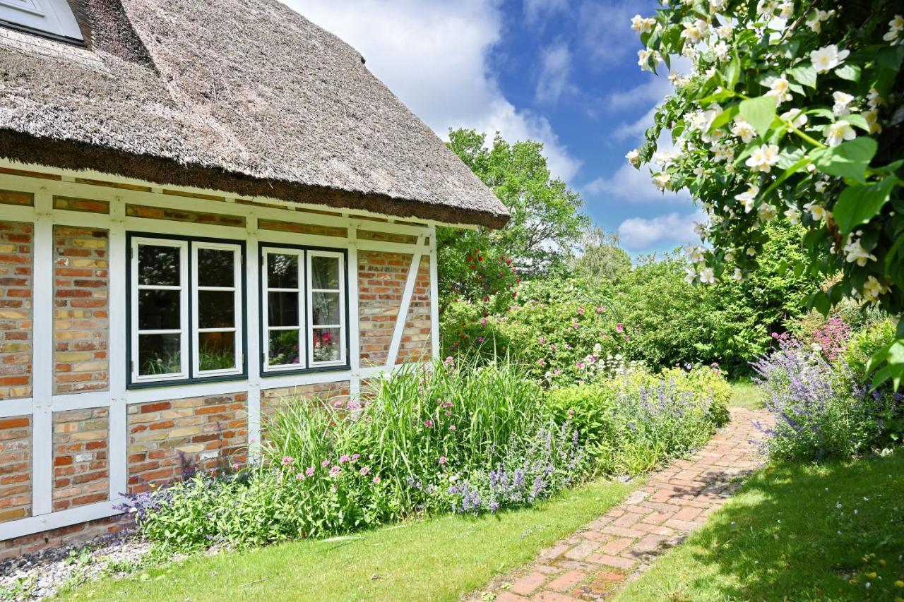 Landhaus Vilmnitz - Wohnung 7 Exterior foto